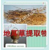 润雪生物 地耳草浓缩粉10：1提取物厂家直销满百包邮
