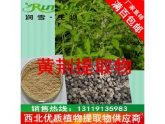 润雪生物 散装原料黄荆提取物浓缩粉 满百包邮厂家直销