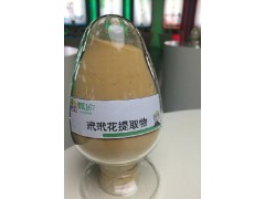 企业标准玳玳花提取物应用食品