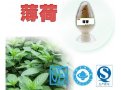 纯天然薄荷提取物功效与作用