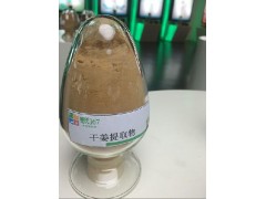 浙江厂家生产干姜粉提取物