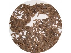 陕西慧科供应 牛蒡子提取物