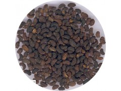 陕西慧科供应 女贞子提取物