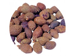 陕西慧科供应 胖大海提取物