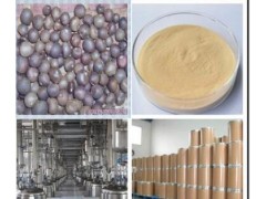 茶皂素 90% 天然茶树子提取物