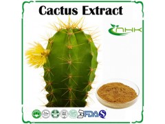 仙人掌提取物 仙人掌粉 QS厂家 医药保健原料