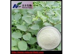 绿原酸10% 金银花提取物   327-97-9