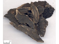 陕西慧科供应 玄参提取物