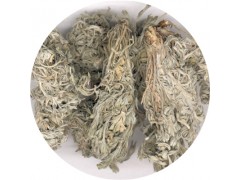 陕西慧科供应 茵陈提取物