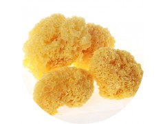 陕西慧科供应 银耳提取物