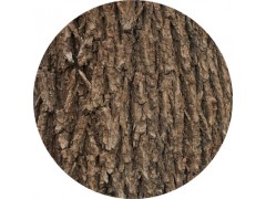 陕西慧科供应 榆树皮提取物