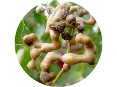 陕西慧科供应 枳椇子提取物