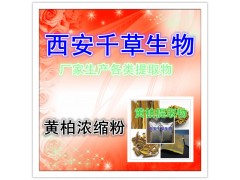 【黄柏提取物】 西安千草 厂家生产 纯天然全水溶 现货供应