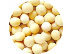 陕西慧科供应 大豆异黄酮