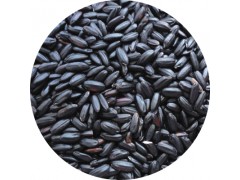 陕西慧科供应 黑米提取物