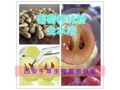 葡萄籽纯粉 全水溶 西安千草生物 厂家生产直销