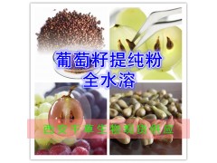 葡萄籽提纯粉 全水溶 西安千草生物 厂家生产直销