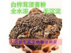 白桦茸浸膏粉 全水溶