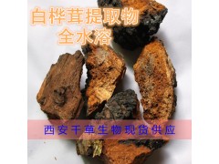 白桦茸粉 全水溶无沉淀