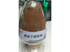 专业生产覆盆子提取物 调节免疫功能