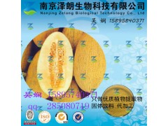 哈密瓜浓缩粉 工厂生产 OEM加工 价格优惠