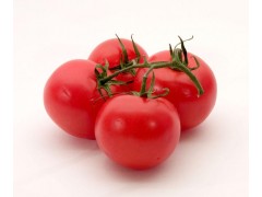 番茄红素（水溶性） lycopene   天然番茄提取物