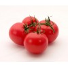 番茄红素（水溶性） lycopene   天然番茄提取物
