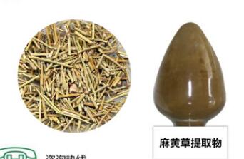 供应麻黄草提取物10：1