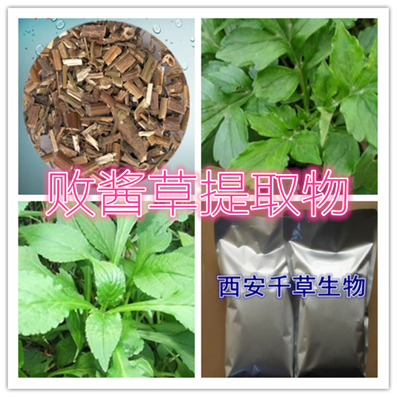 败酱草提取物