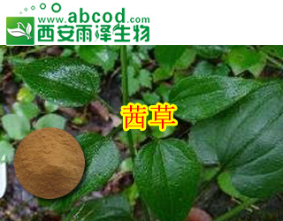 茜草提取物生产厂家
