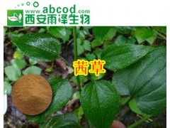 茜草提取物生产厂家
