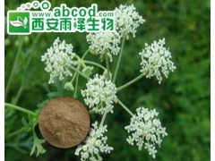 前胡提取物生产厂家