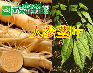 人参茎叶提取物