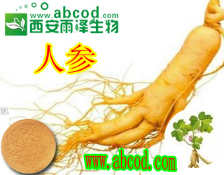 人参叶提取物生产厂家