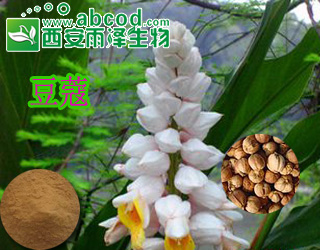 肉豆蔻提取物生产厂家