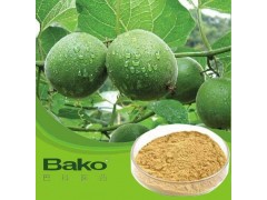 苏州罗汉果提取物厂家 益肝健脾 罗汉果苷V植物原材料 巴科