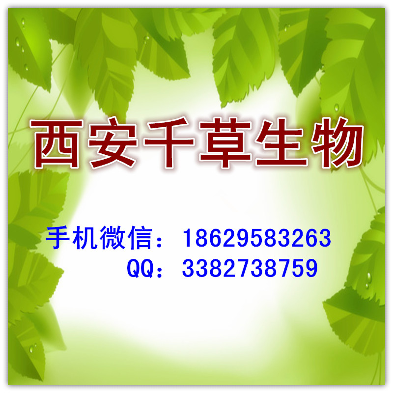 00新