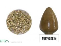 优质荆芥提取物10：1