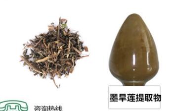 供应优质旱莲草提取物20：1