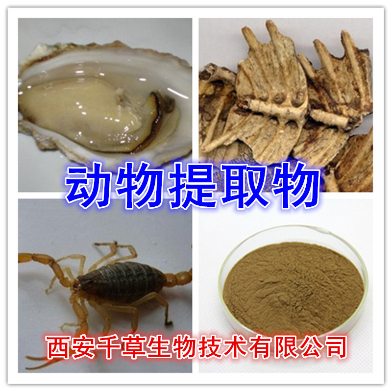 全蝎粉的功效作用 西安千草生物生产
