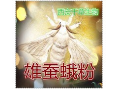 雄蚕蛾提取物 全水溶无沉淀  厂家特价直销