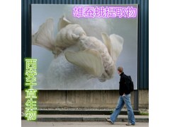 雄蚕蛾粉 全水溶无沉淀  厂家特价直销