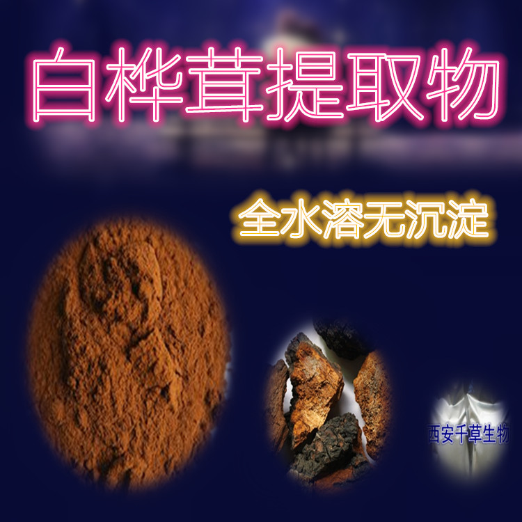 白桦茸提取物