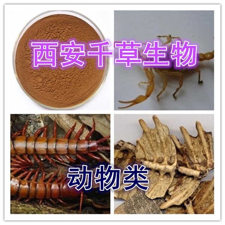 全蝎粉全水溶无沉淀