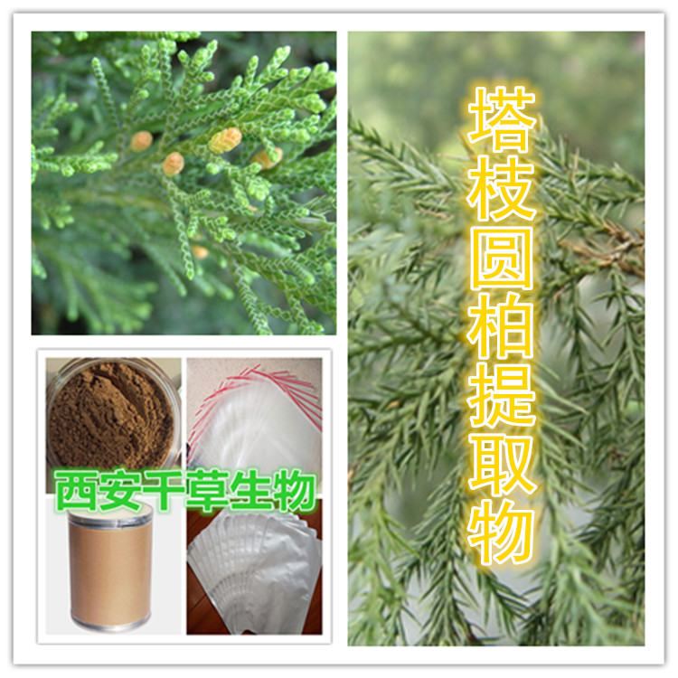 塔枝圆柏提取物