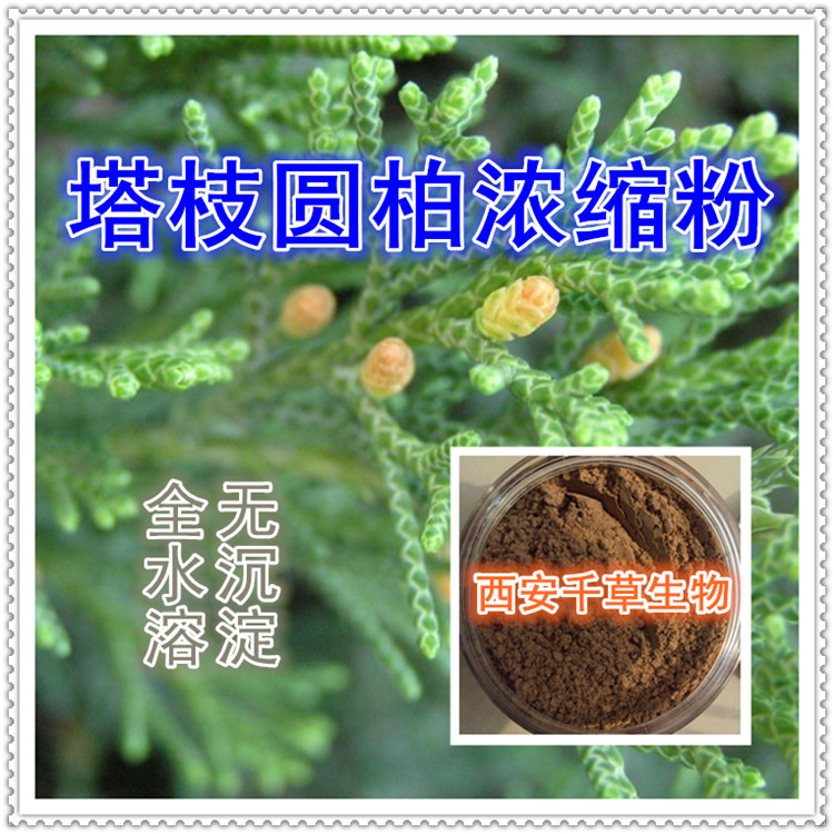 塔枝圆柏浓缩粉