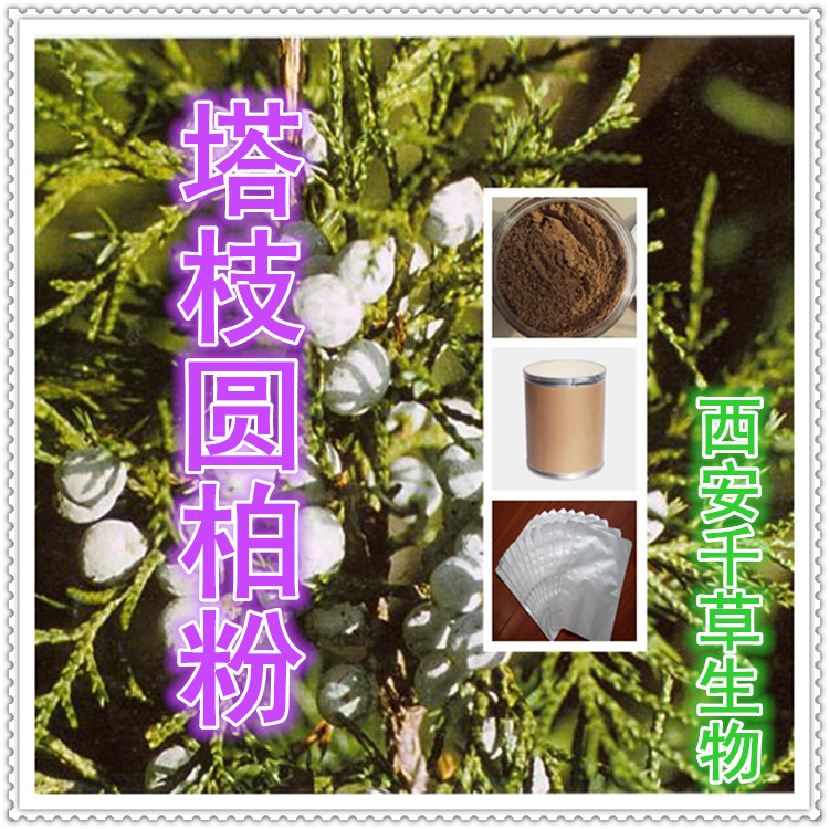 塔枝圆柏粉