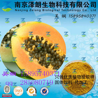 木瓜浓缩粉  QS生产代加工   品质保证