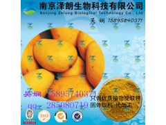 优质供应 芒果浓缩粉  可代加工   资质齐全