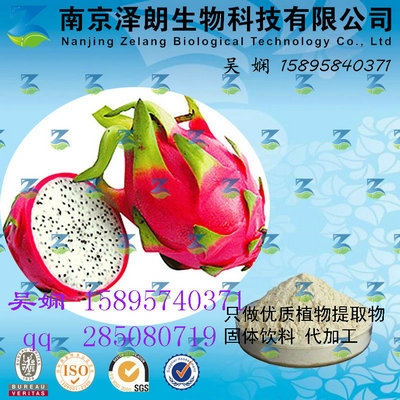 火龙果浓缩粉  南京泽朗 专业提取  可定制加工
